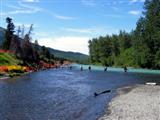 Combat fishing in Alaska