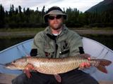 Large northern pike